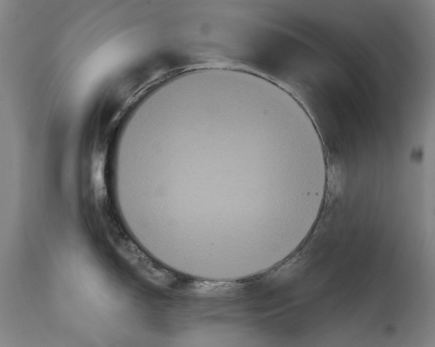 X0000114641150200911101252