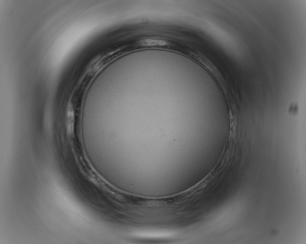 X0000114641151200911101252
