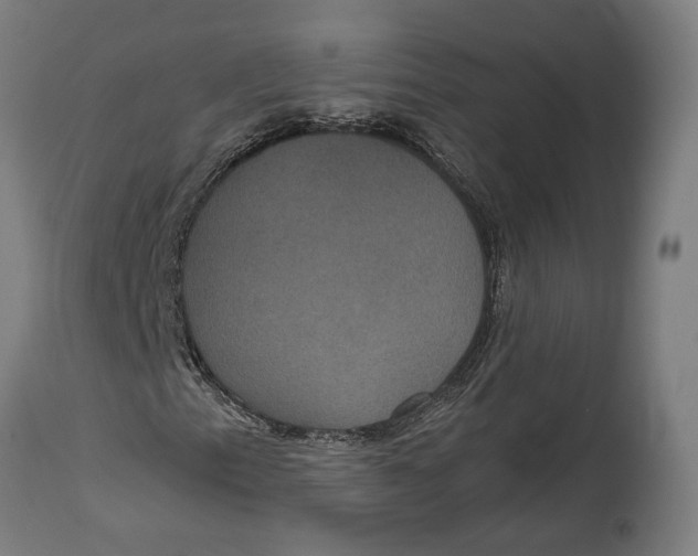 X0000114641153200911101252