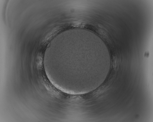 X0000114641154200911101252