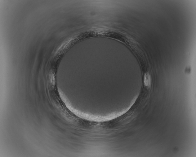 X0000114641155200911101252