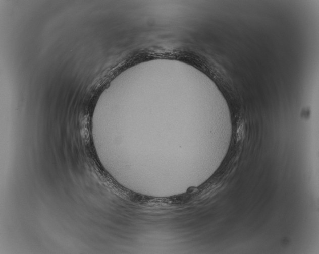 X0000114641156200911101252