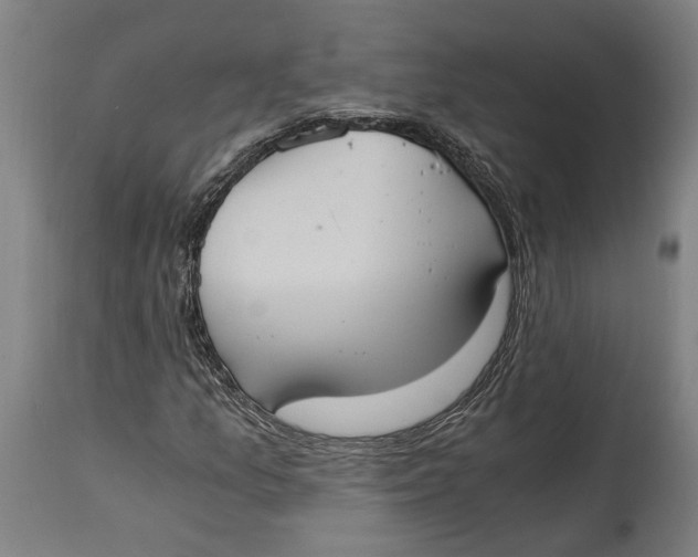 X0000114641157200911101252