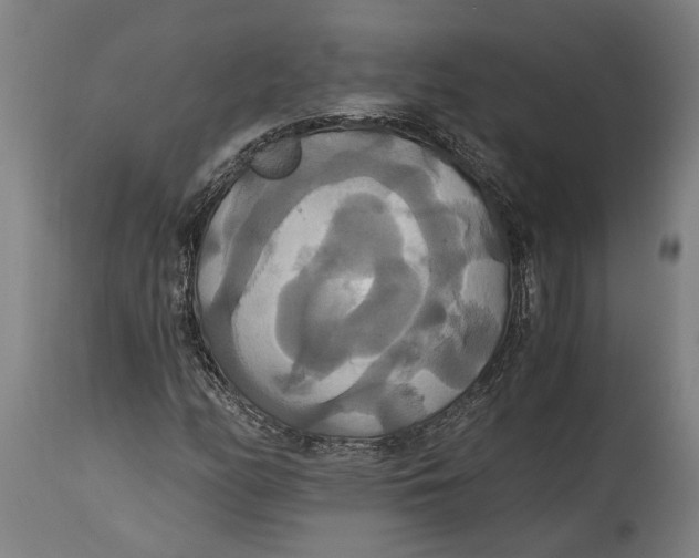 X0000114641158200911101252