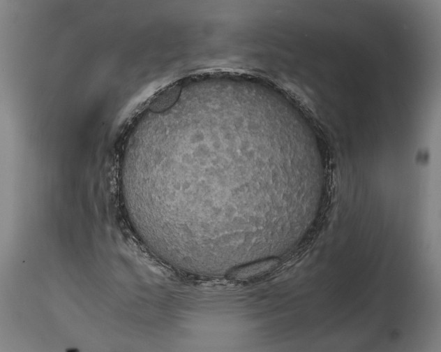 X0000114641159200911101252