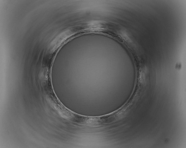 X0000114641161200911101252