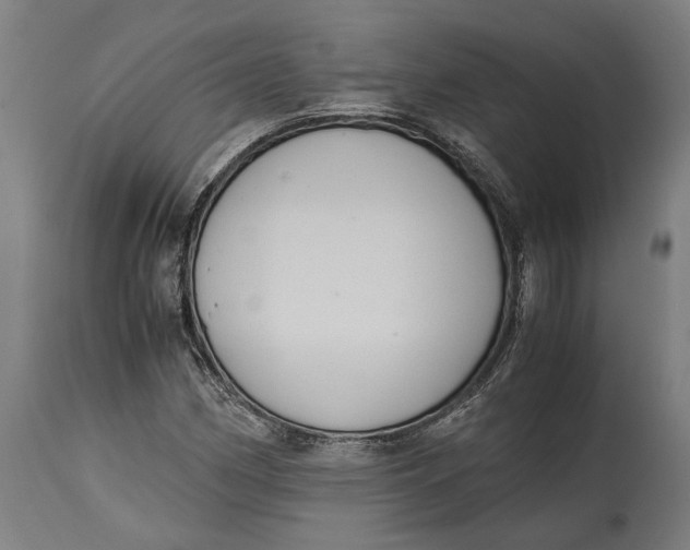X0000114641162200911101252