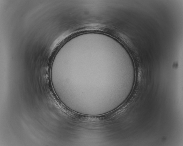 X0000114641164200911101252