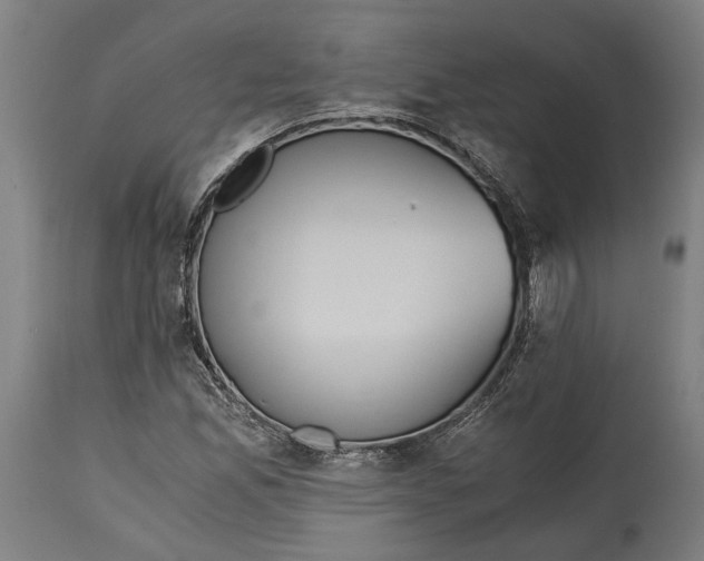 X0000114641165200911101252