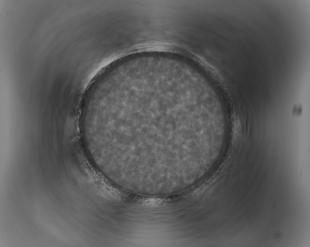 X0000114641166200911101252