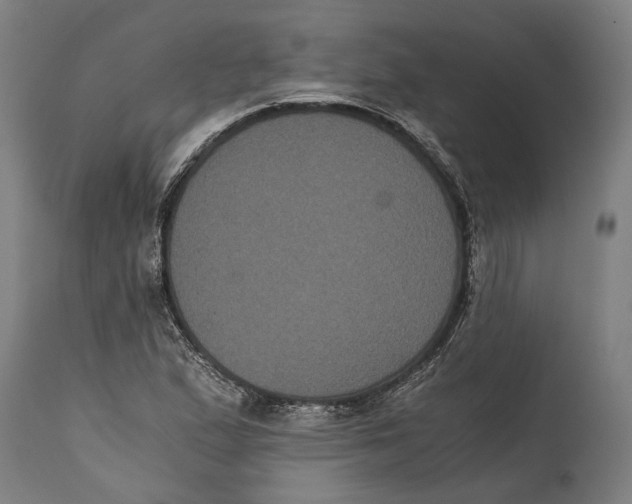 X0000114641167200911101252