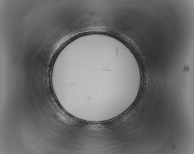 X0000114641168200911101252
