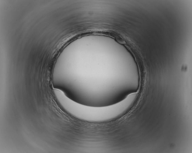X0000114641169200911101252