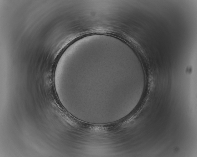 X0000114641170200911101252