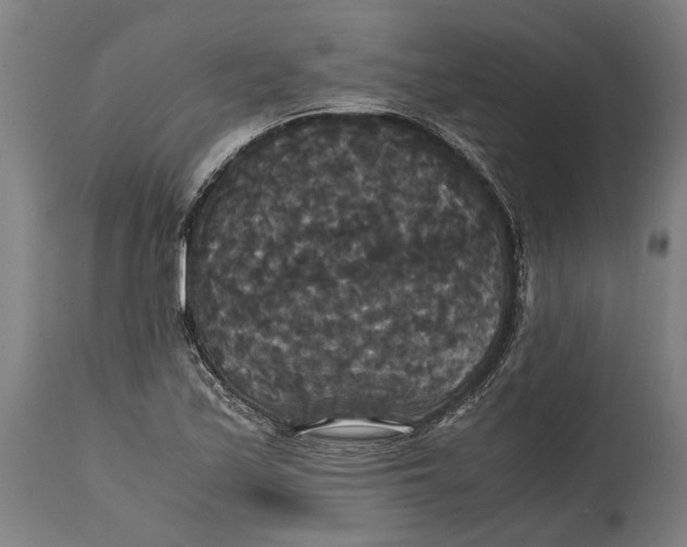 X0000114641171200911101252
