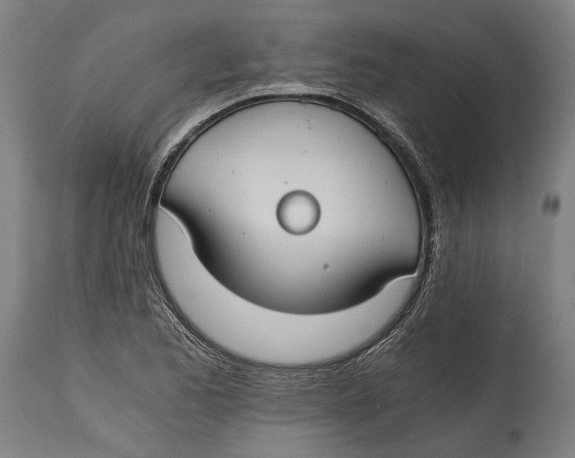 X0000114641173200911101252