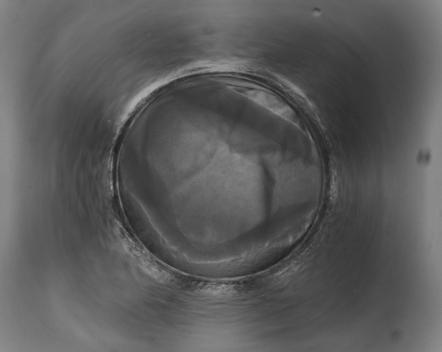 X0000114641174200911101252