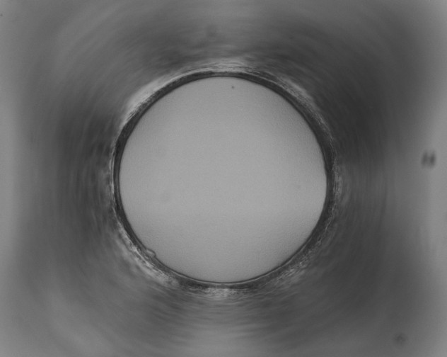 X0000114641176200911101251