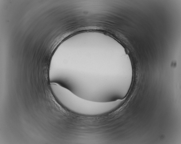X0000114641177200911101251