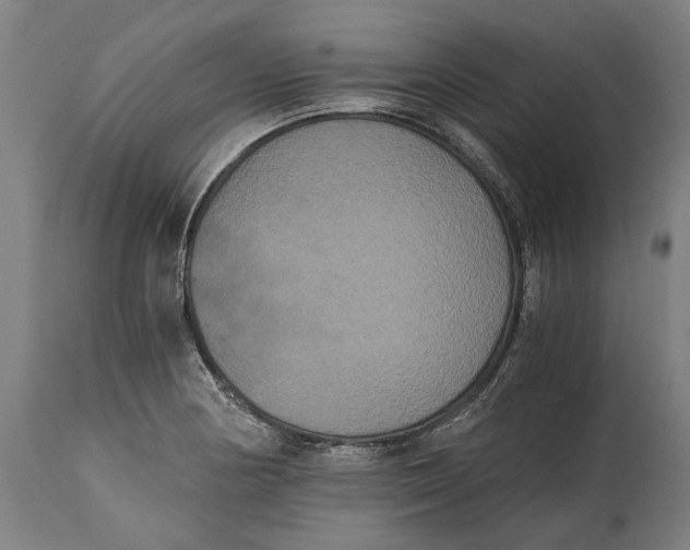 X0000114641178200911101251