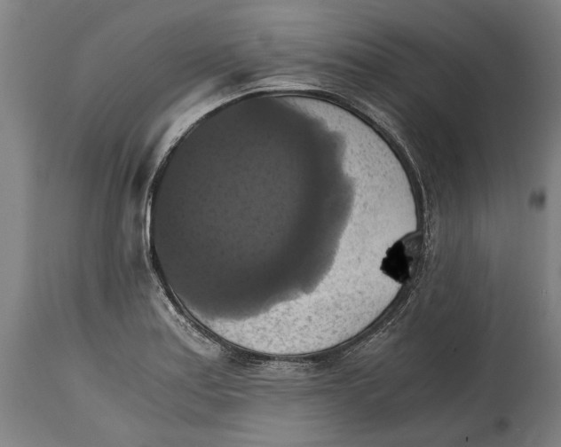 X0000114641179200911101251