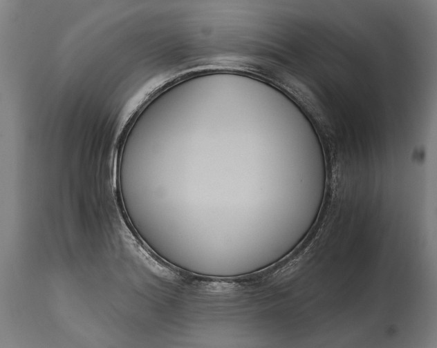 X0000114641180200911101251