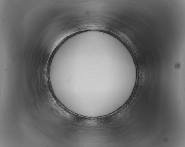 X0000114641182200911101251