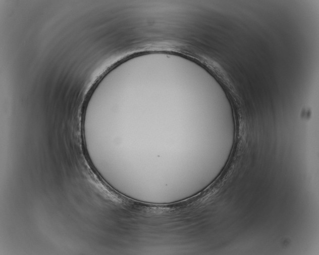 X0000114641184200911101251