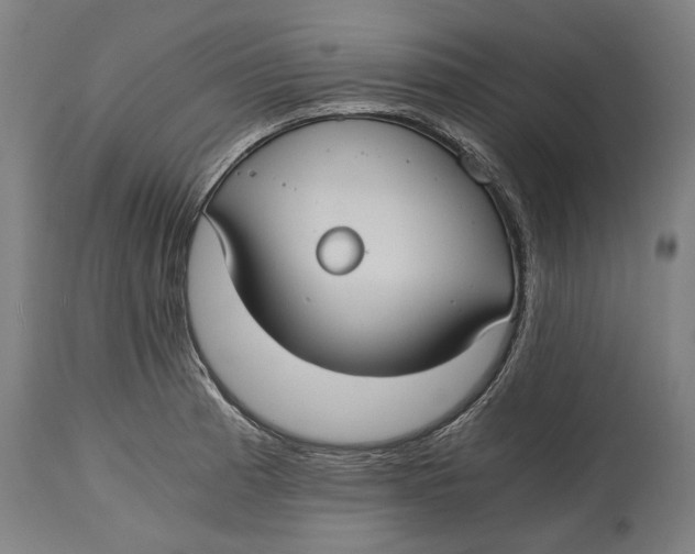 X0000114641185200911101251