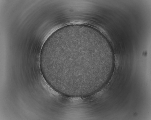 X0000114641186200911101251