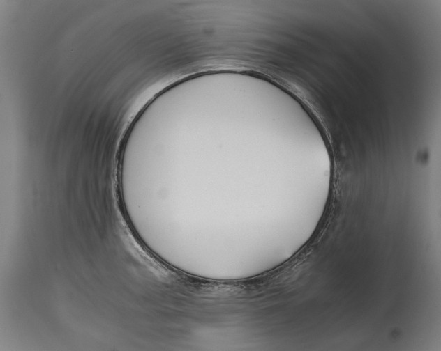 X0000114641187200911101251