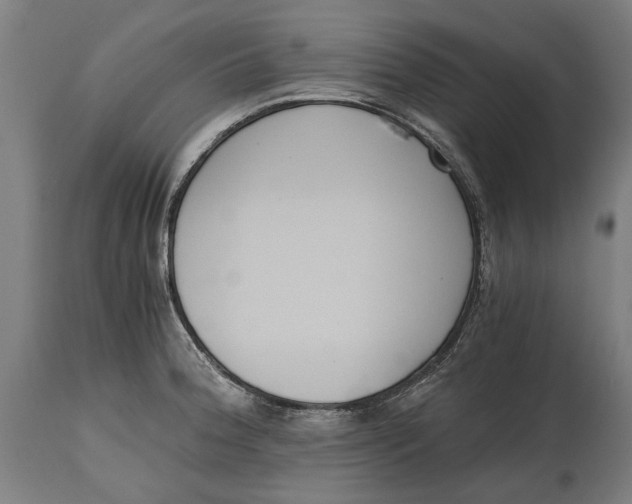 X0000114641188200911101251