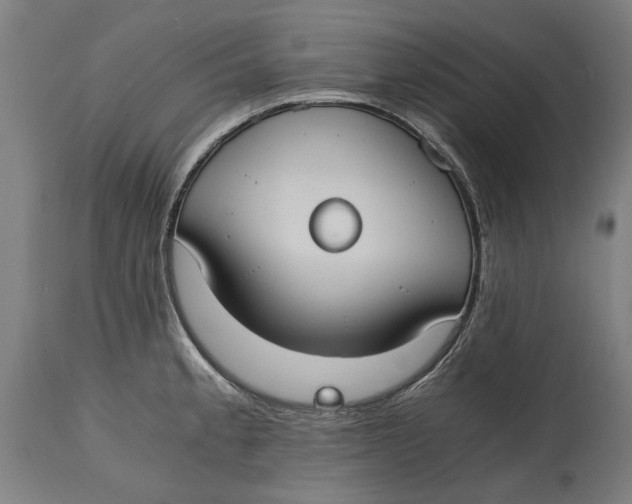 X0000114641189200911101251