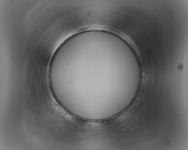 X0000114641190200911101251
