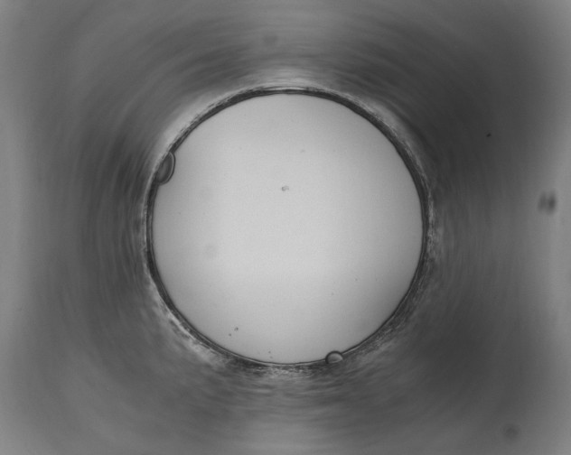 X0000114641191200911101251