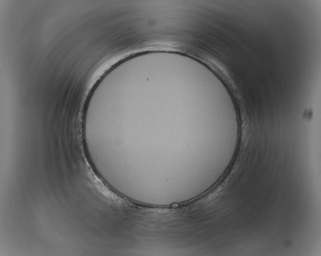 X0000114641192200911101251