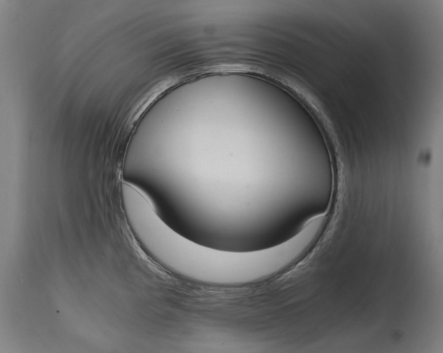 X0000114641193200911101251