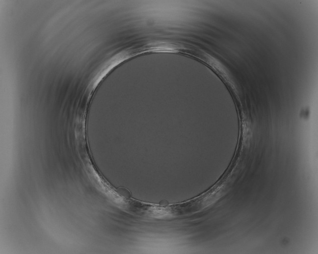 X0000114641194200911101251