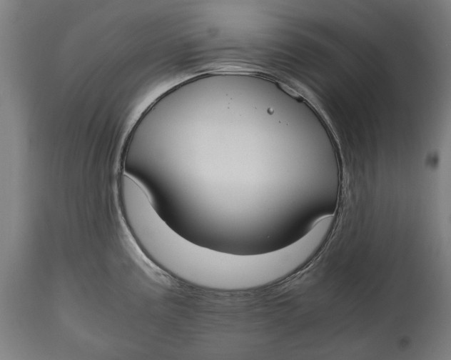 X0000114641195200911101251