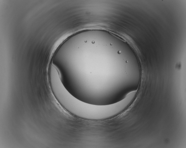 X0000114641196200911101251