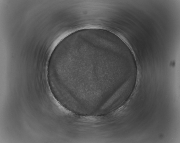 X0000114641197200911101251