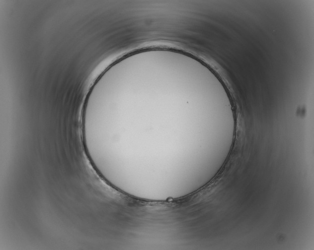 X0000114641199200911101251