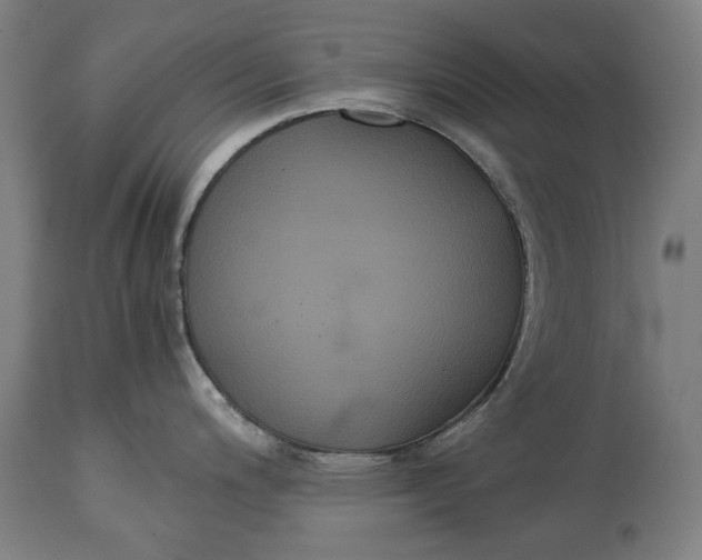 X0000114641200200911101251