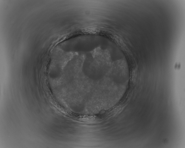 X0000114641201200911101251