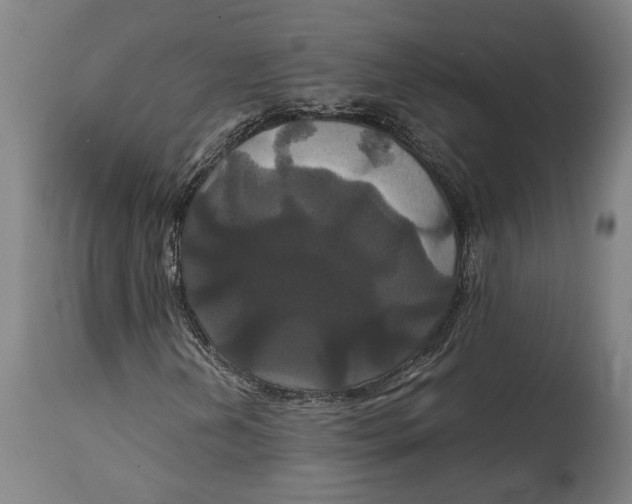 X0000114641202200911101251
