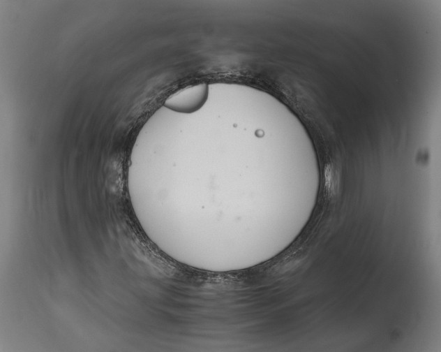 X0000114641203200911101251