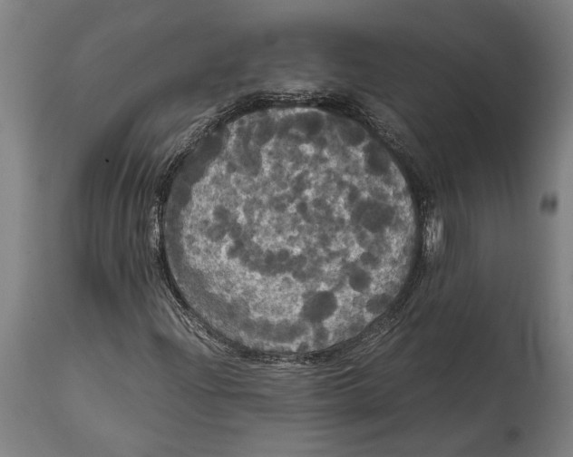 X0000114641204200911101251