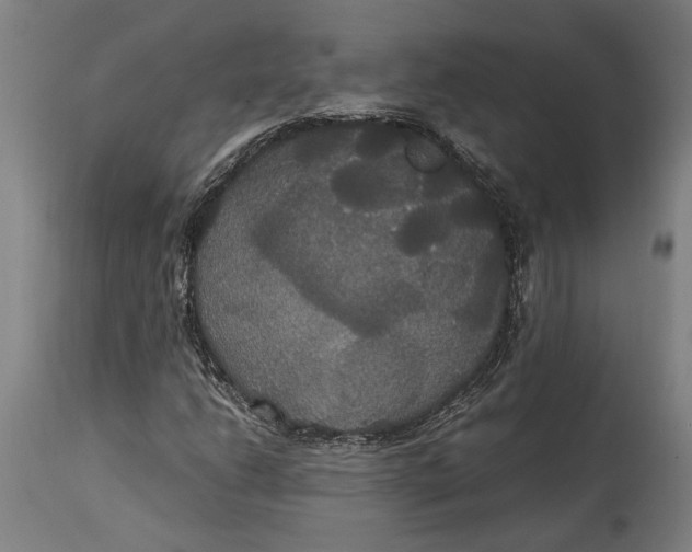 X0000114641206200911101251