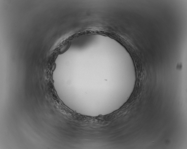 X0000114641207200911101251