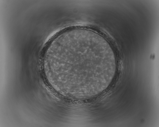 X0000114641208200911101251